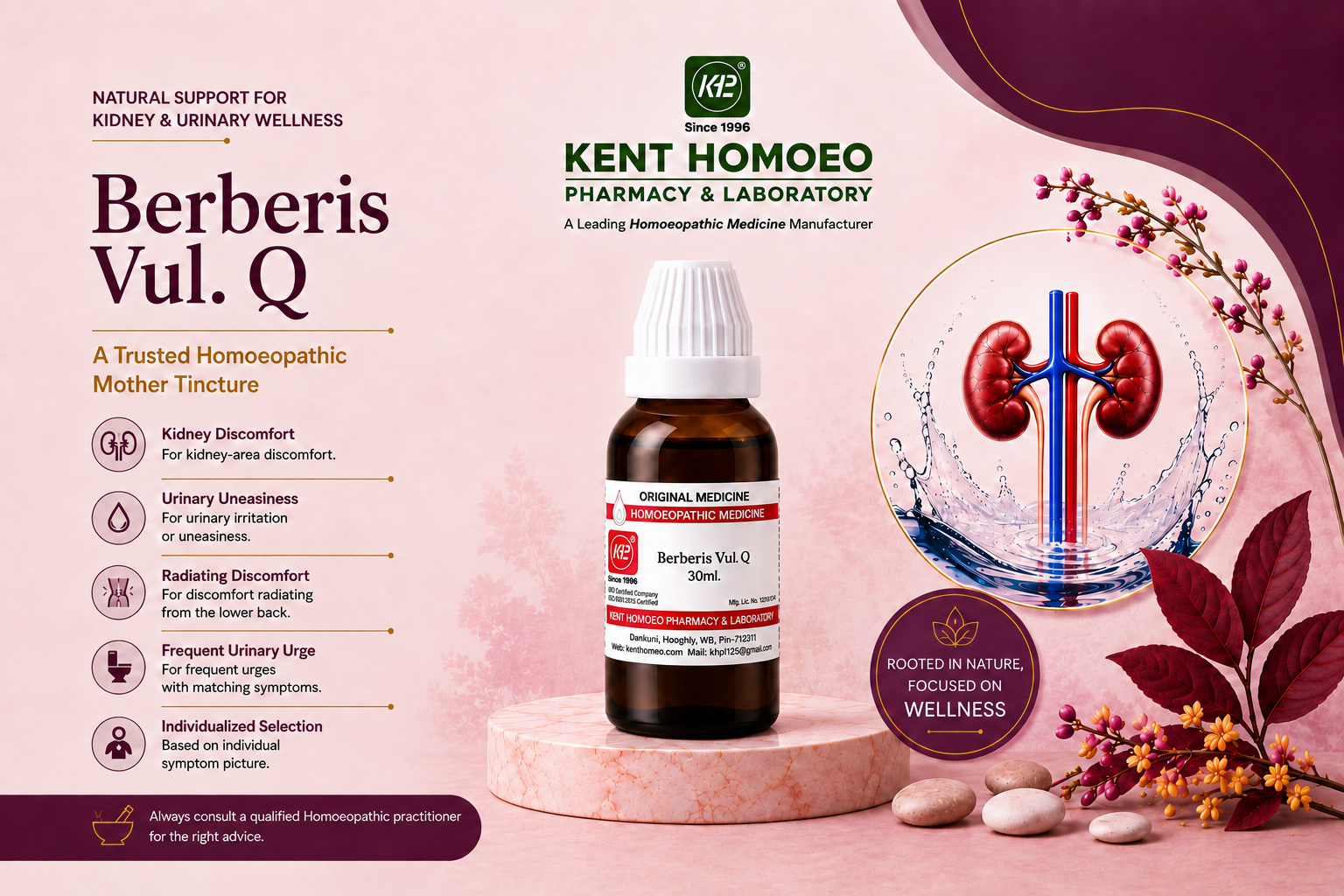 Berberis Vulgaris Q for Everyday Kidney Wellness